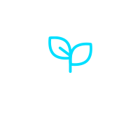 배경