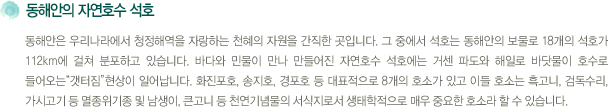동해안의 자연호수 석호