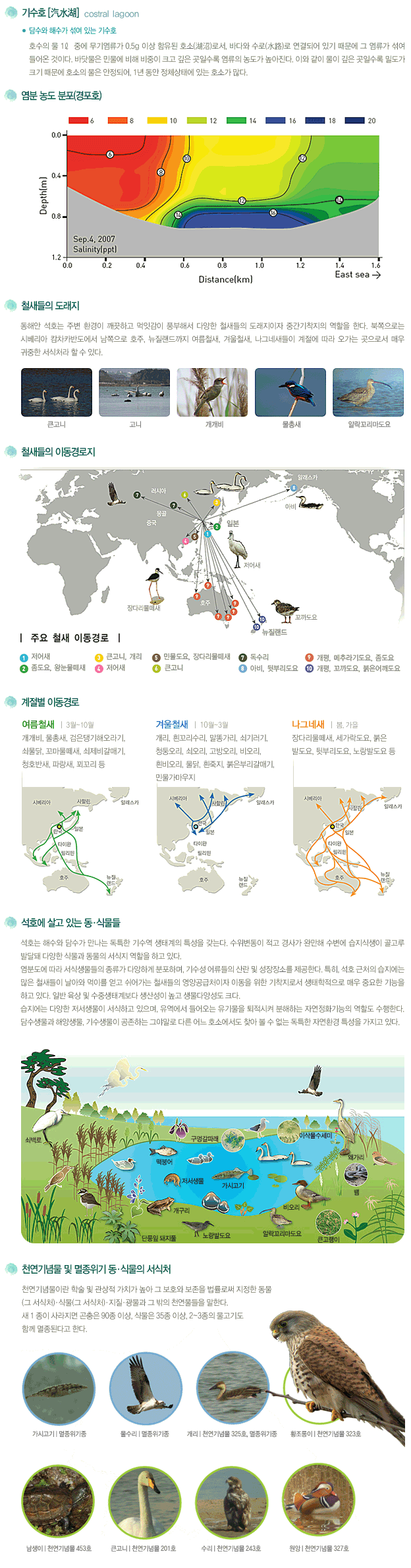 석호소개