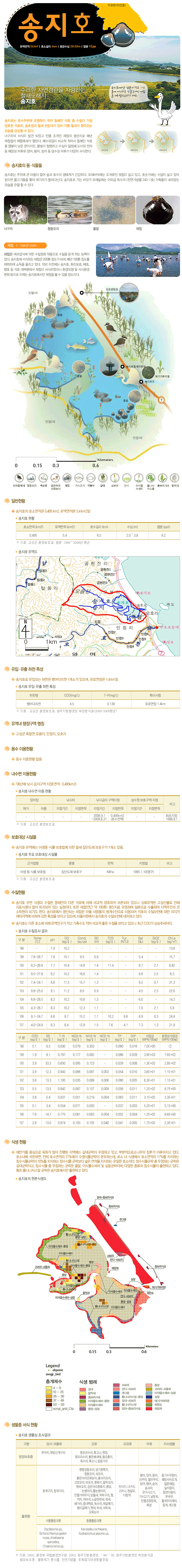 송지호