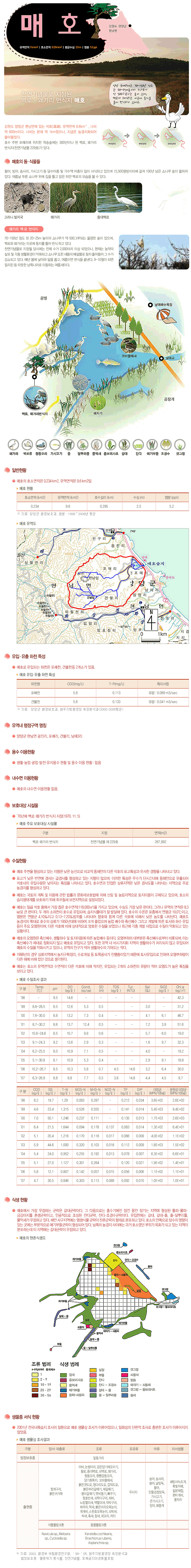 매호