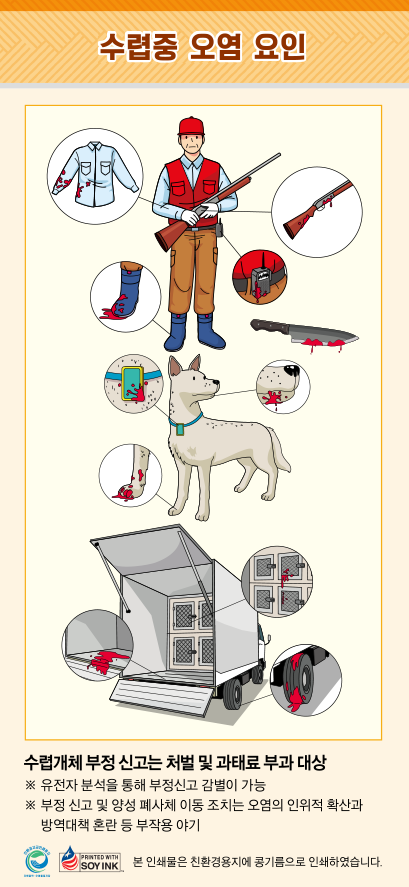 수렵중 오염 요인 수렵개채 부정 신고는 처벌 및 과태료 부과 대상 ※ 유전자 분석을 통해 부정신고 감별이 가능 ※ 부정 신고 및 양성 폐사체 이동 조치는 오염의 인위적 확산과 방역 대책 혼란 등 부작용 야기