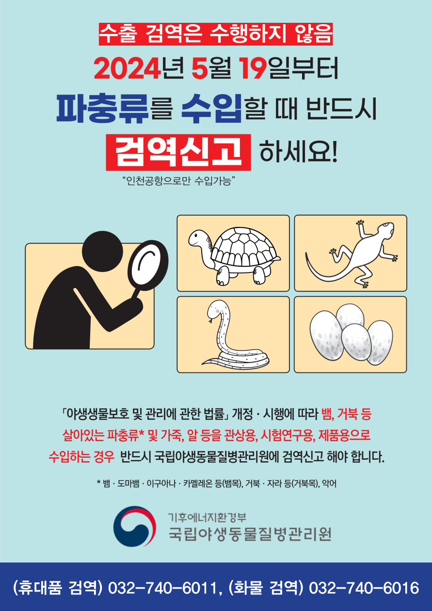 2024년 5월 19일부터 파충류를 수입할 때 반드시 검역신고 하세요!(인천공항으로만 수입가능) 야생생물보호 및 관리에 관한 법률 개정 시행에 따라 뱀, 거북 등 살아있는 파충류 및 가죽, 알 등을 관상용, 시험연구용, 제품용으로 수입하는 경우 반드시 국립야생동물질병관리원에 검역신고 해야 합니다. * 뱀, 도마뱀, 이구아나 카멜레온 등(뱀목), 거북,자라 등(거북목), 악어