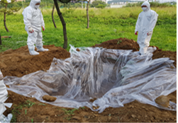 비닐을 이용하여 구덩이에 깐다. (두께 0.2mm 이상의 고강도 방수 재질 비닐 사용)
