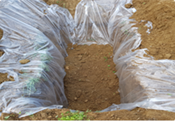 바닥의 비닐이 보이지 않게 토양을 덮는다.