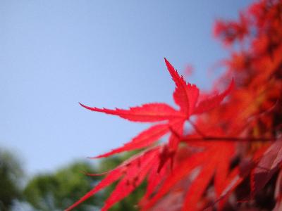 생태사진 경연대회 사진